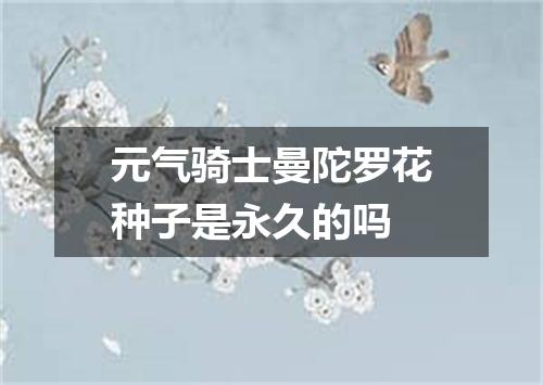 元气骑士曼陀罗花种子是永久的吗