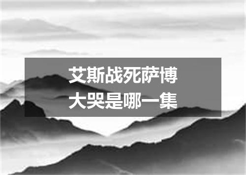 艾斯战死萨博大哭是哪一集
