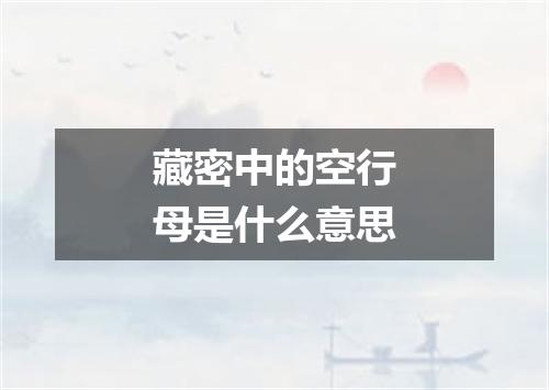 藏密中的空行母是什么意思