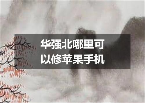 华强北哪里可以修苹果手机