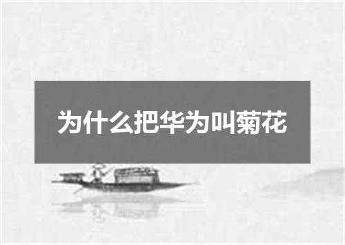 为什么把华为叫菊花