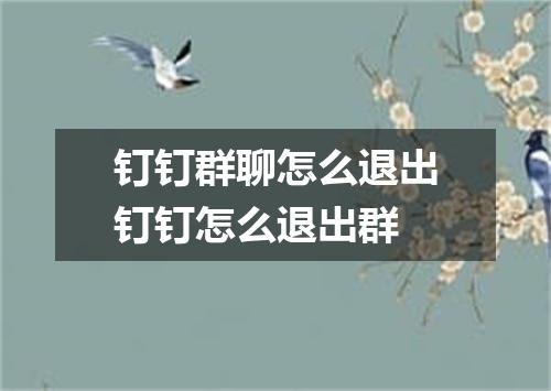 钉钉群聊怎么退出钉钉怎么退出群