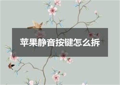 苹果静音按键怎么拆