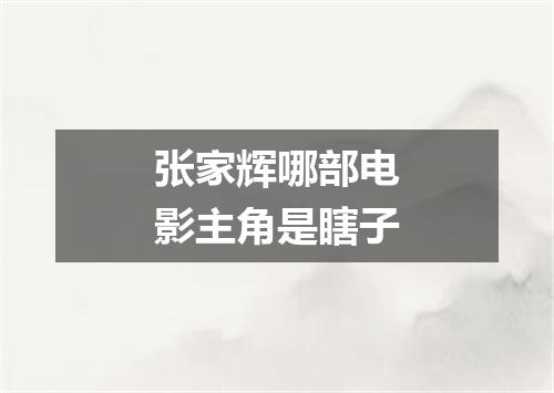 张家辉哪部电影主角是瞎子