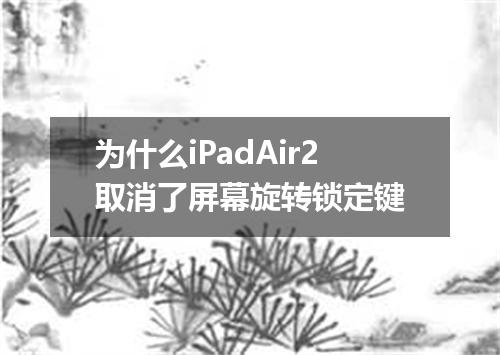为什么iPadAir2取消了屏幕旋转锁定键