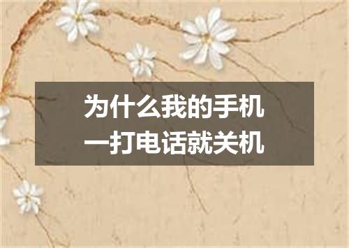 为什么我的手机一打电话就关机
