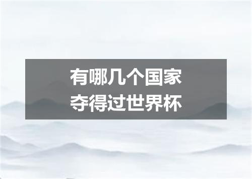 有哪几个国家夺得过世界杯