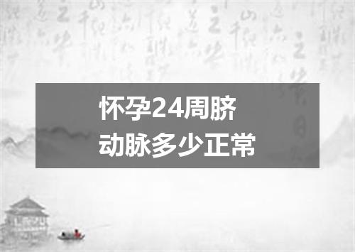 怀孕24周脐动脉多少正常