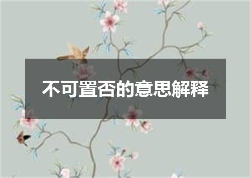 不可置否的意思解释