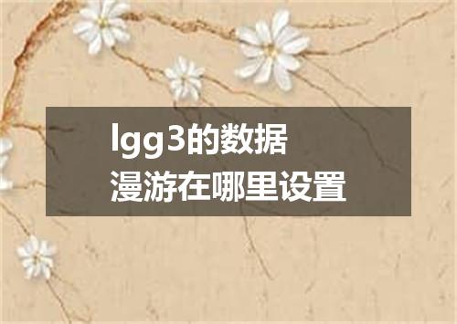 lgg3的数据漫游在哪里设置