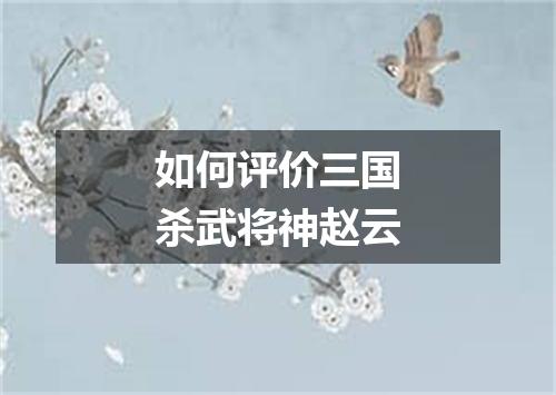 如何评价三国杀武将神赵云