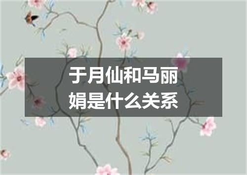 于月仙和马丽娟是什么关系