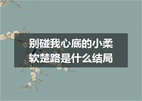 别碰我心底的小柔软楚路是什么结局