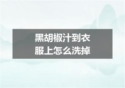 黑胡椒汁到衣服上怎么洗掉