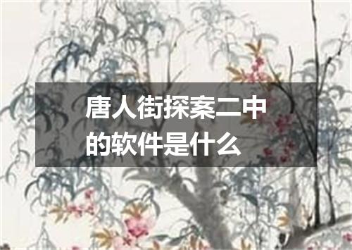 唐人街探案二中的软件是什么