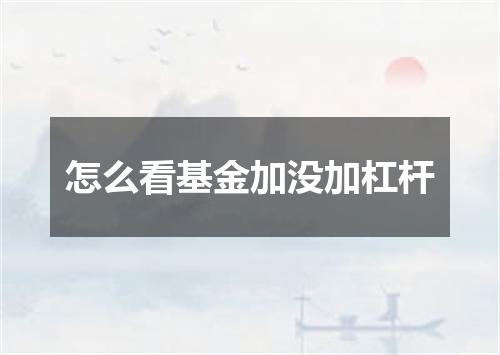 怎么看基金加没加杠杆