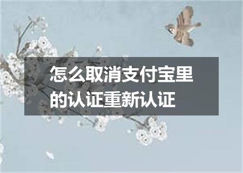 怎么取消支付宝里的认证重新认证