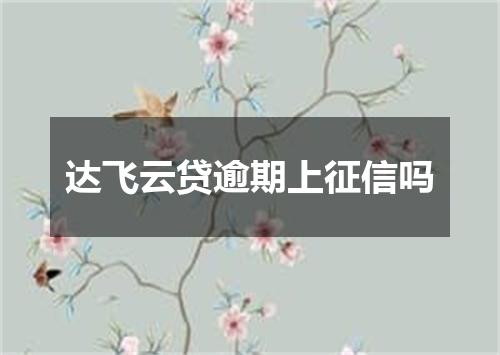 达飞云贷逾期上征信吗