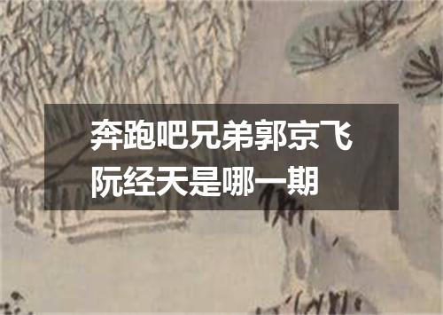 奔跑吧兄弟郭京飞阮经天是哪一期