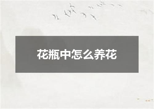 花瓶中怎么养花