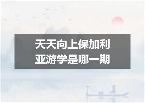 天天向上保加利亚游学是哪一期
