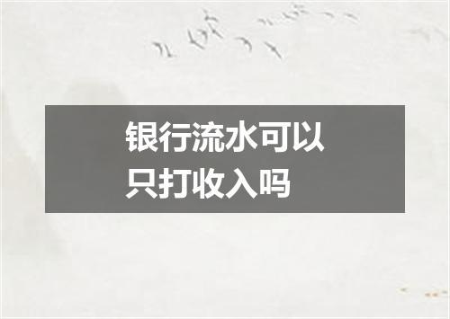 银行流水可以只打收入吗