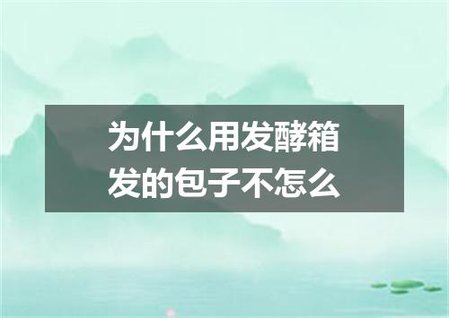 为什么用发酵箱发的包子不怎么