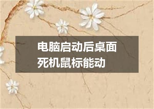 电脑启动后桌面死机鼠标能动