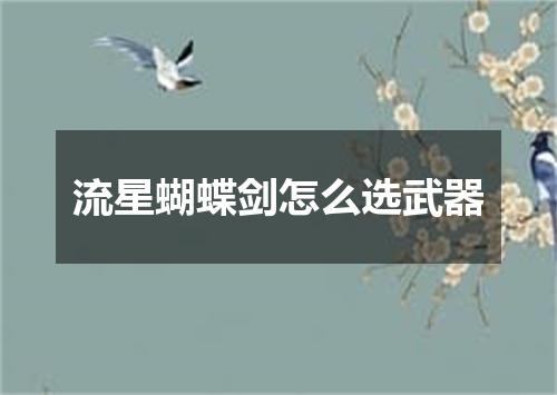 流星蝴蝶剑怎么选武器