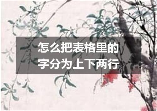 怎么把表格里的字分为上下两行