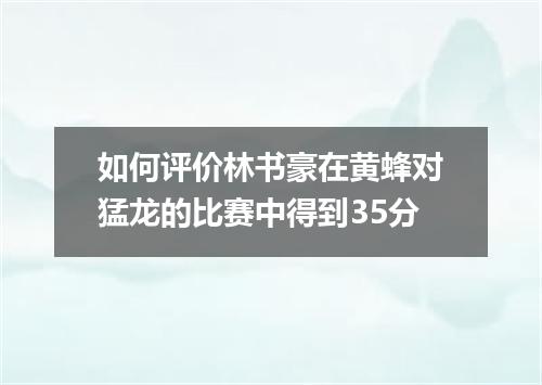如何评价林书豪在黄蜂对猛龙的比赛中得到35分