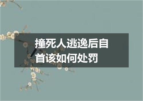 撞死人逃逸后自首该如何处罚