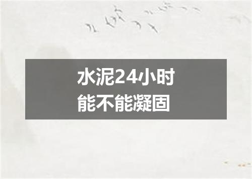 水泥24小时能不能凝固