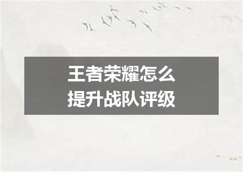 王者荣耀怎么提升战队评级