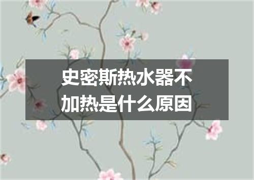 史密斯热水器不加热是什么原因