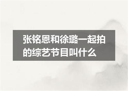 张铭恩和徐璐一起拍的综艺节目叫什么
