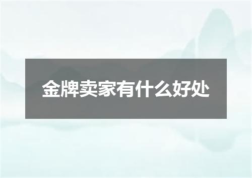 金牌卖家有什么好处