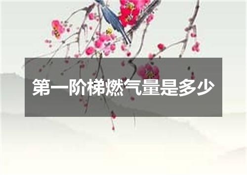第一阶梯燃气量是多少