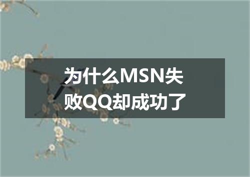 为什么MSN失败QQ却成功了