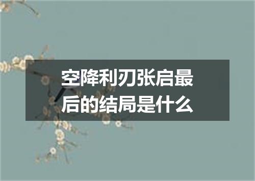 空降利刃张启最后的结局是什么