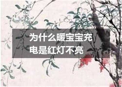 为什么暖宝宝充电是红灯不亮