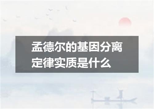 孟德尔的基因分离定律实质是什么