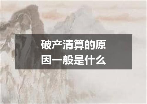 破产清算的原因一般是什么