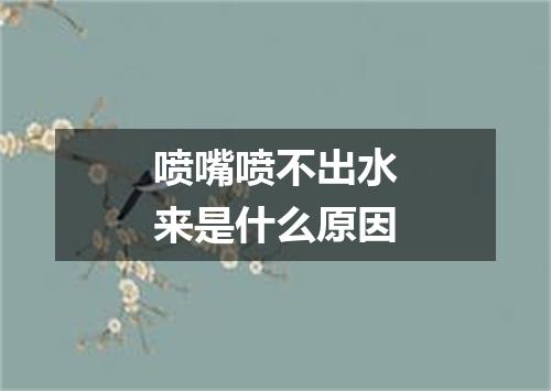 喷嘴喷不出水来是什么原因