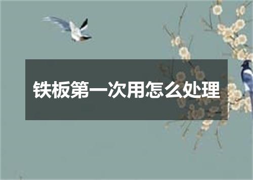 铁板第一次用怎么处理