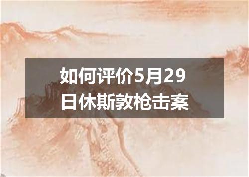 如何评价5月29日休斯敦枪击案
