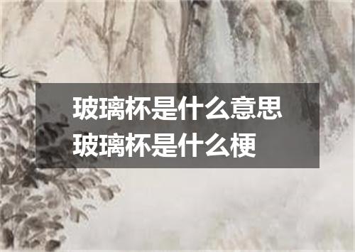 玻璃杯是什么意思玻璃杯是什么梗