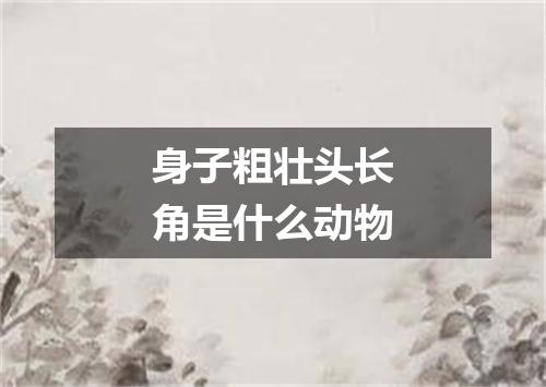 身子粗壮头长角是什么动物