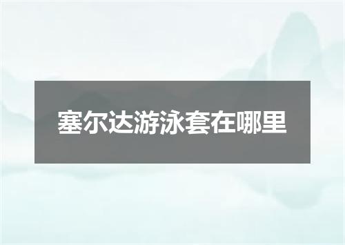 塞尔达游泳套在哪里