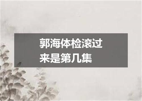 郭海体检滚过来是第几集